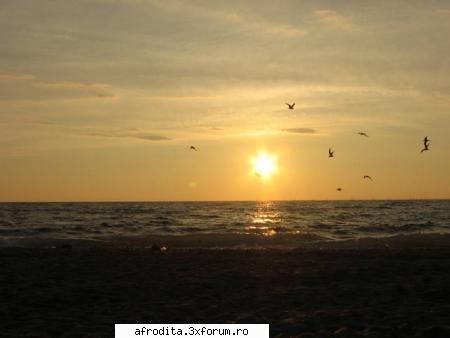 Cool stuff - am numai poze si poze...(rasarit pe plaja din - Poze